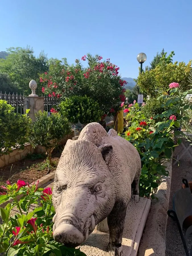 Hotel Mirasierra كوتو ريوس